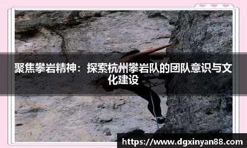 聚焦攀岩精神：探索杭州攀岩队的团队意识与文化建设