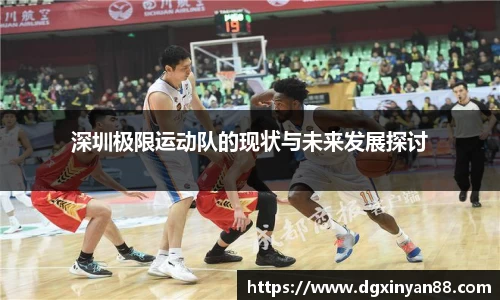 深圳极限运动队的现状与未来发展探讨