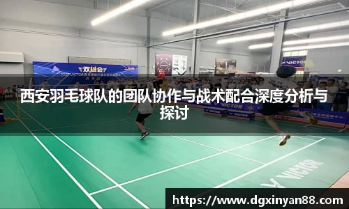 西安羽毛球队的团队协作与战术配合深度分析与探讨